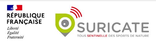  Photo Suricate